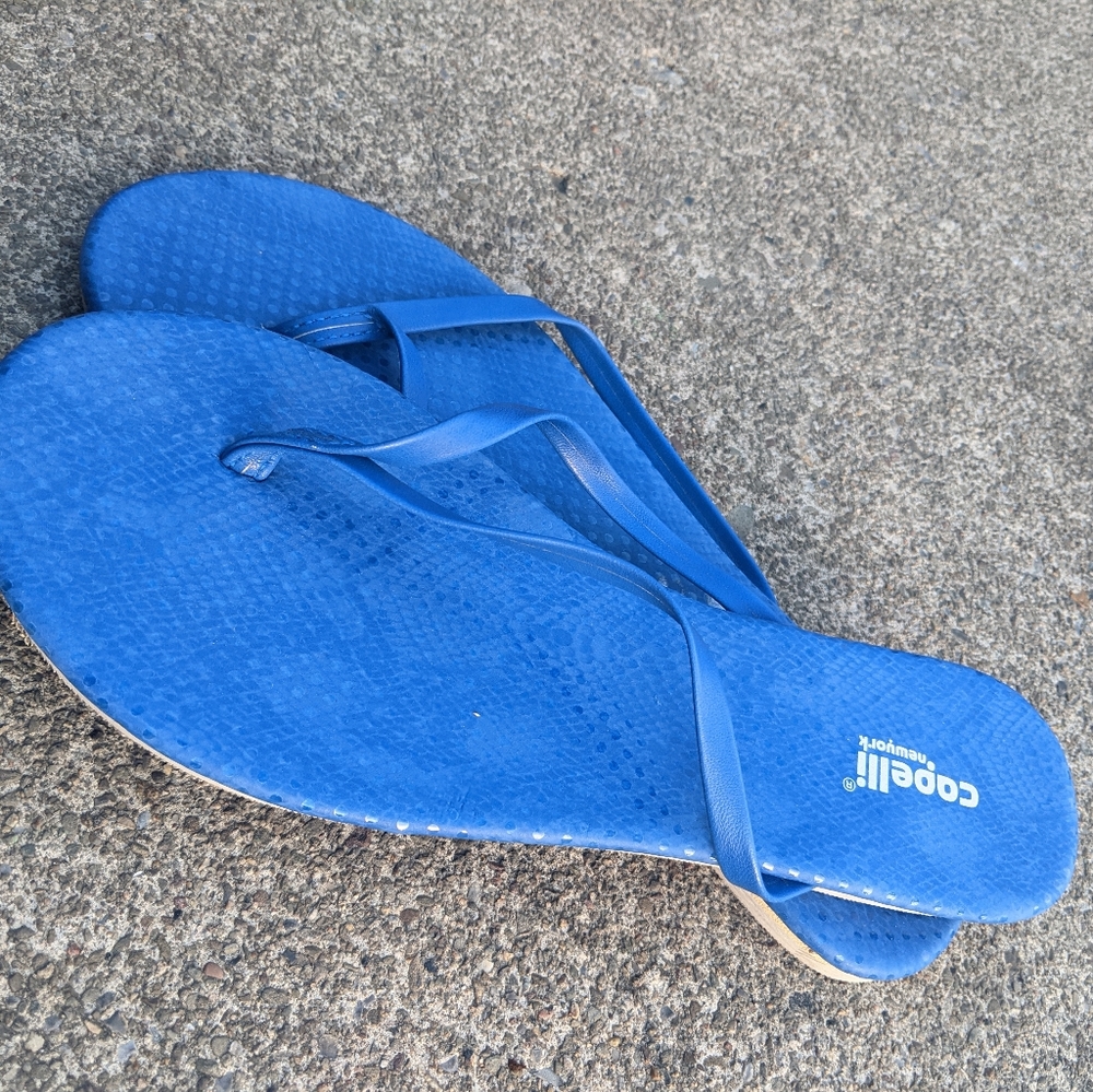 NEW Capelli Cobalt Blue Flip Flop Sandals 7M